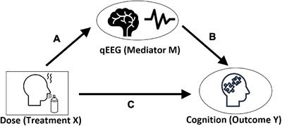 The Effect of Neuroepo on Cognition in Parkinson’s Disease Patients Is Mediated by Electroencephalogram Source Activity